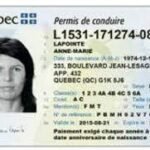 Order Quebec Driver License and ID Card
