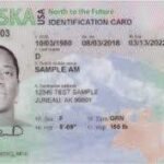 Buy Alaska Driver License and ID Cards