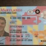 Buy Maryland Driver License and ID Cards