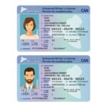 Real Canada Driver’s License for Sale