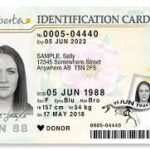 Order Alberta Driving Licenses and ID Cards online