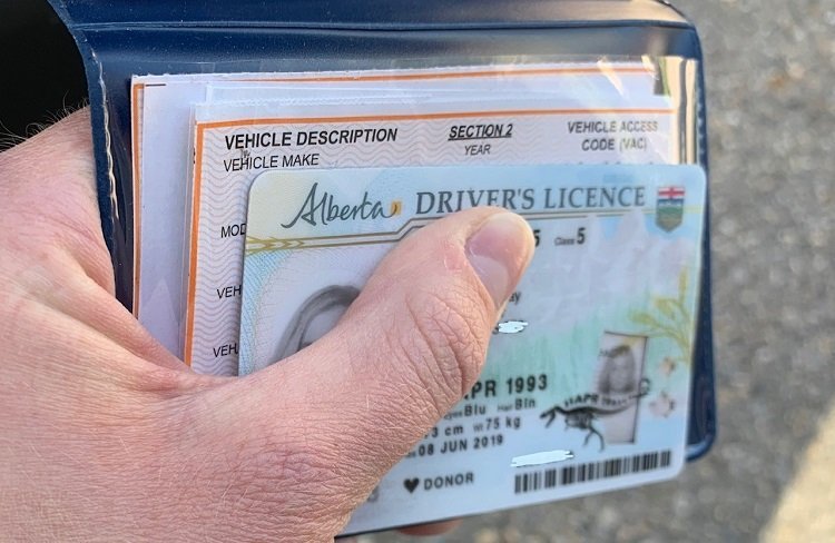 Buy Alberta Driving Licenses Online