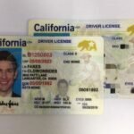 Buy Fake Californian Drivers License