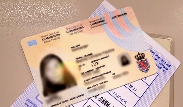 Buy Fake Luxembourg ID Cards Online