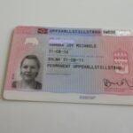 Buy Fake Swedish ID Cards Online