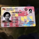 Buy Maryland Driver License For Sale