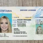 Buy Montana Driver License Online