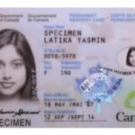 Buy fake Canadian ID card online