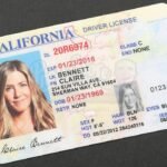 Fake US Drivers License online