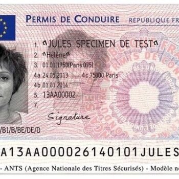 Buy Registered French Drivers licence