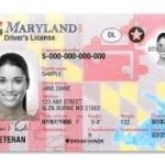 Buy Maryland Driver License Online
