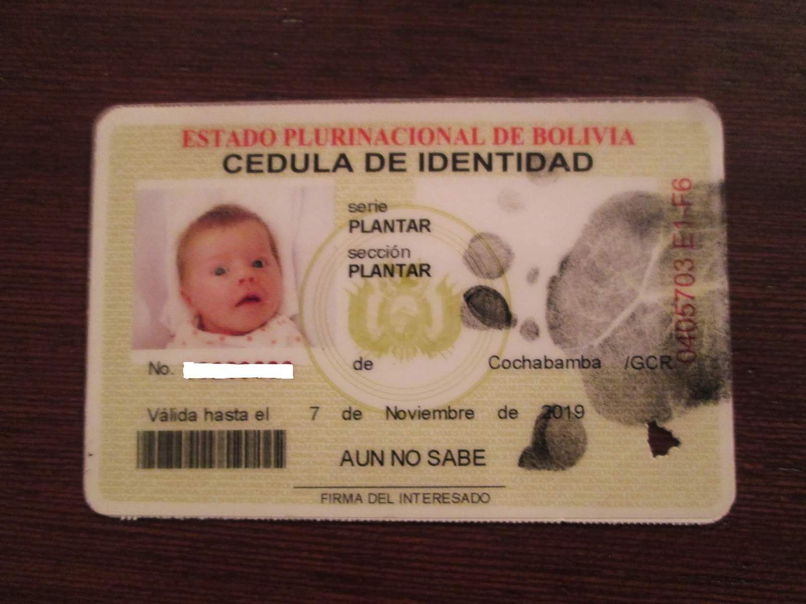Buy Real ID cads and DL of Bolivia