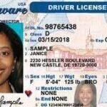 Order for Colorado Driver License and ID Cards