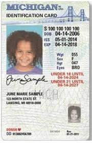 Buy Michigan Driver License Online - Image 2