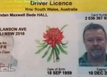 Buy New South Wales Driver License and ID Cards