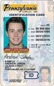 Buy Pennsylvania Driver License and ID Cards - Image 2